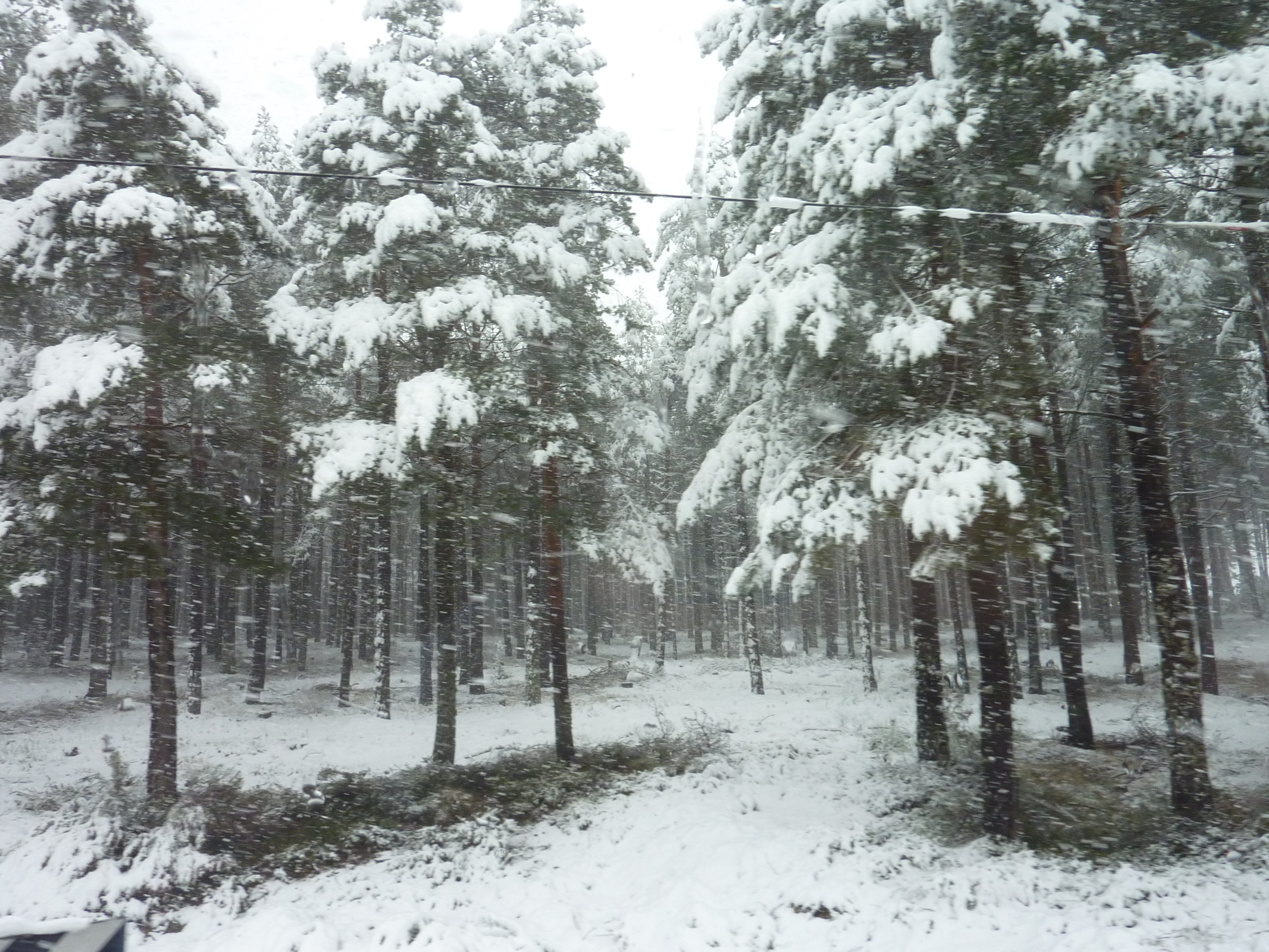 Nevando