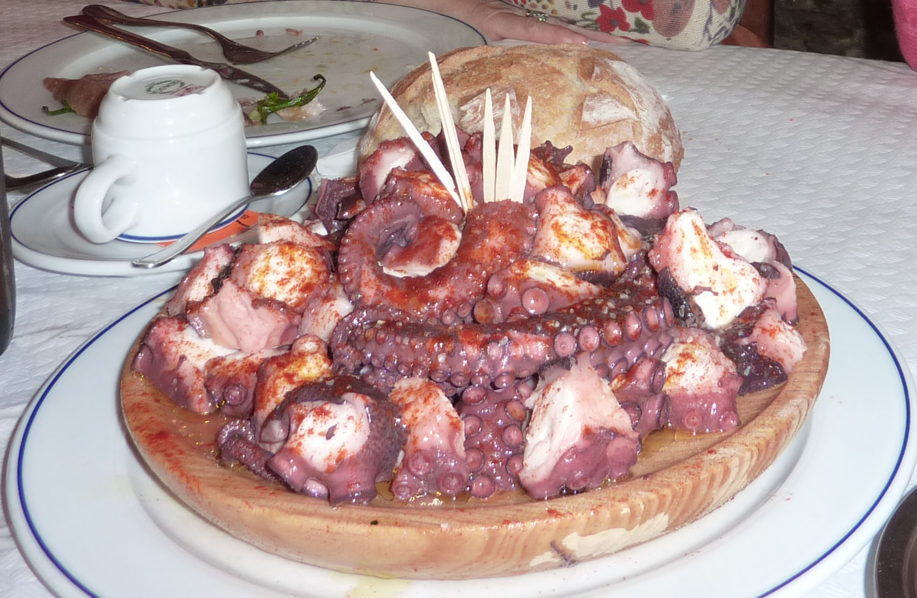 Pulpo