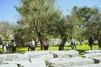 18-34d-SanSimeon